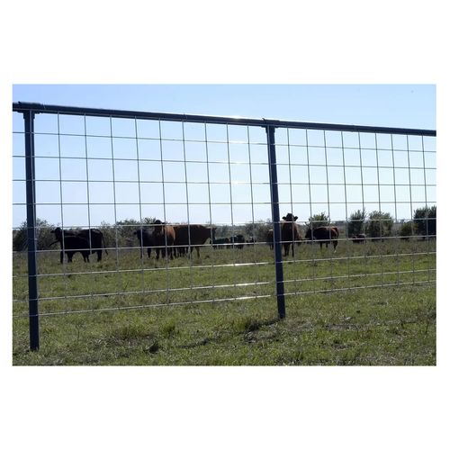 OK Brand Cattle Panel, 10 Wire, 16 Ft. x 50 In.