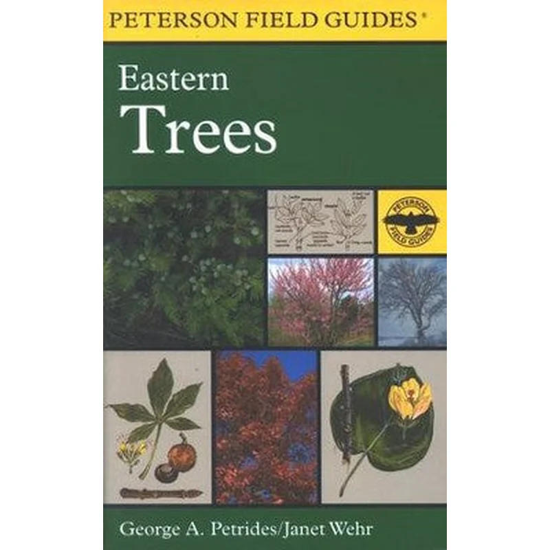 A Field Guide to Eastern Trees: Eastern US and Canada, Including the Midwest