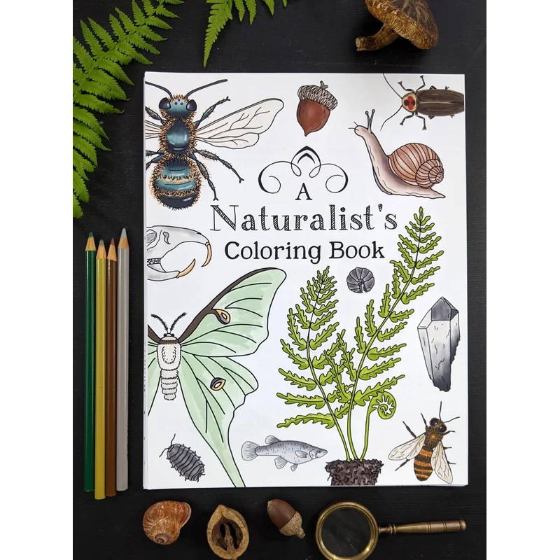 A Naturalist’s Coloring Book (Twig & Moth)