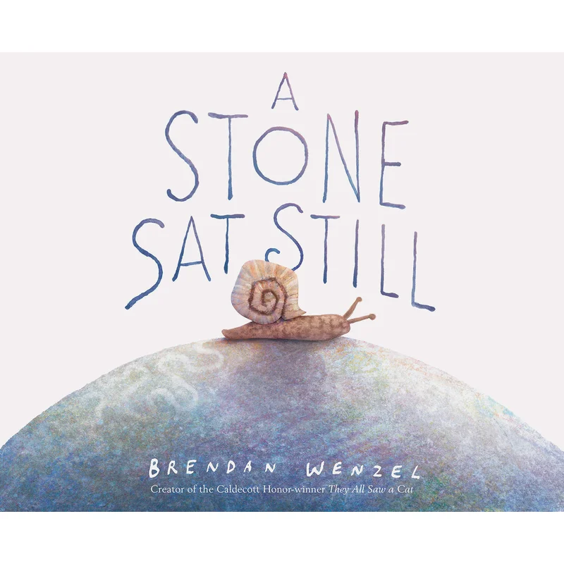 A Stone Sat Still by Brandon Wenzel