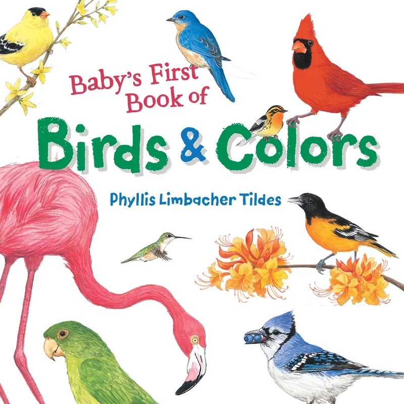 Baby’s First Book of Birds & Colors by Phyllis Limbacher Tildes