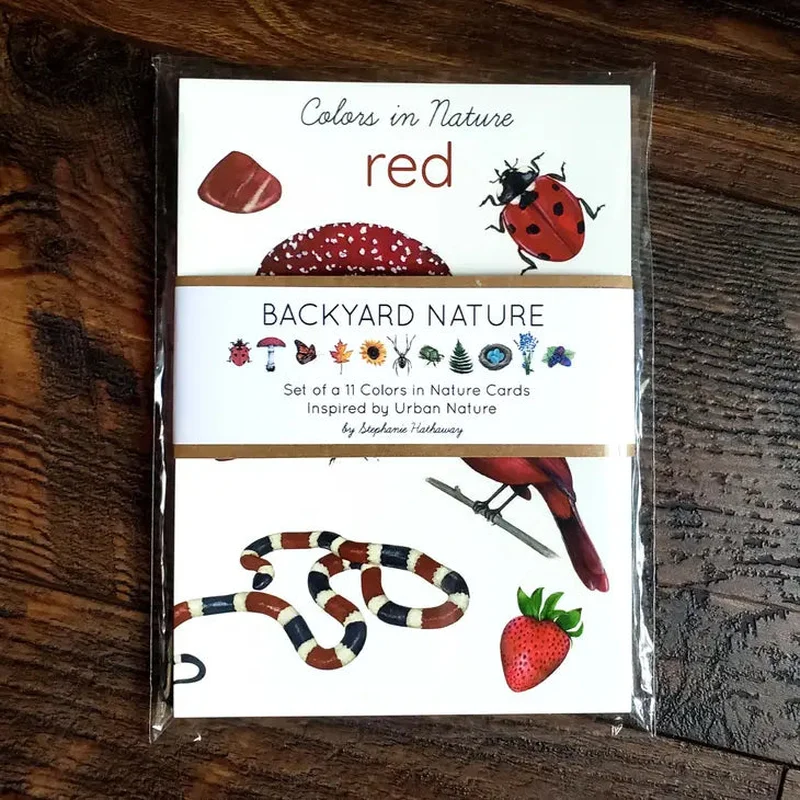 Backyard Nature Art Cards, Colors in Nature