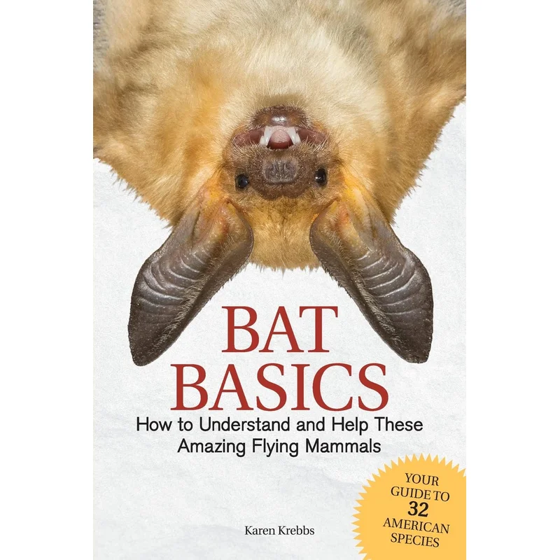 Bat Basics: How to Understand and Help These Amazing Flying Mammals