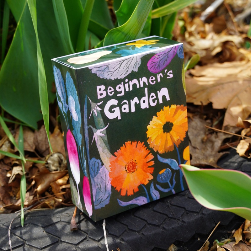Beginner's Garden Seed Collection Box