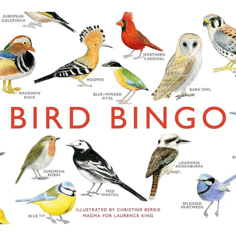 Bird Bingo by Christine Berrie