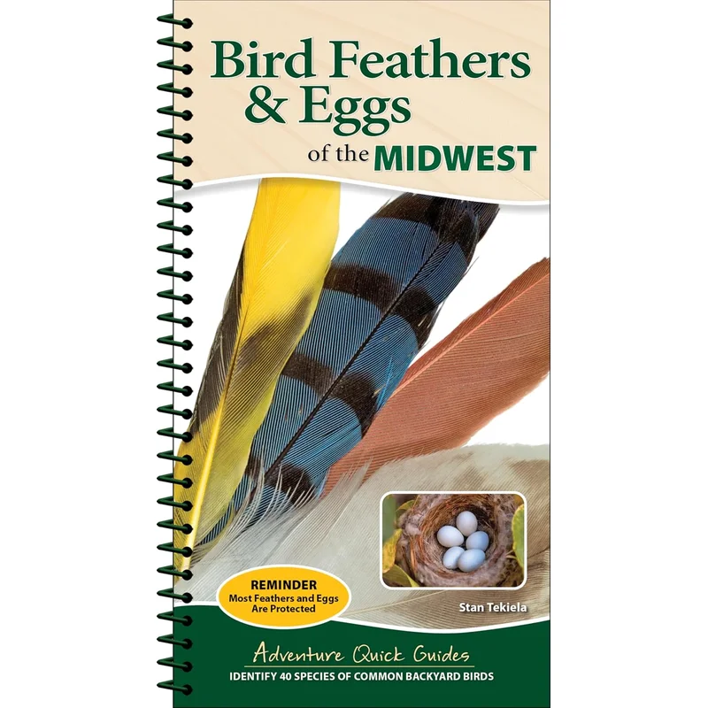 Bird Feathers & Eggs of the Midwest: Identify 40 Species of Common Backyard Birds (Adventure Quick Guides) by Stan Tekiela