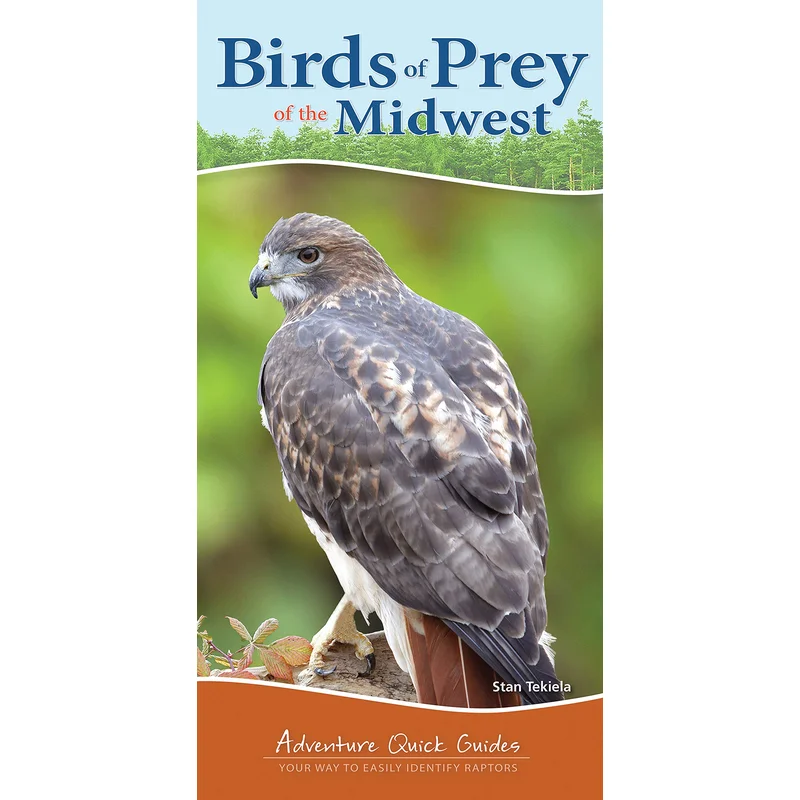 Birds of Prey of the Midwest: Your Way to Easily Identify Raptors (Adventure Quick Guides)