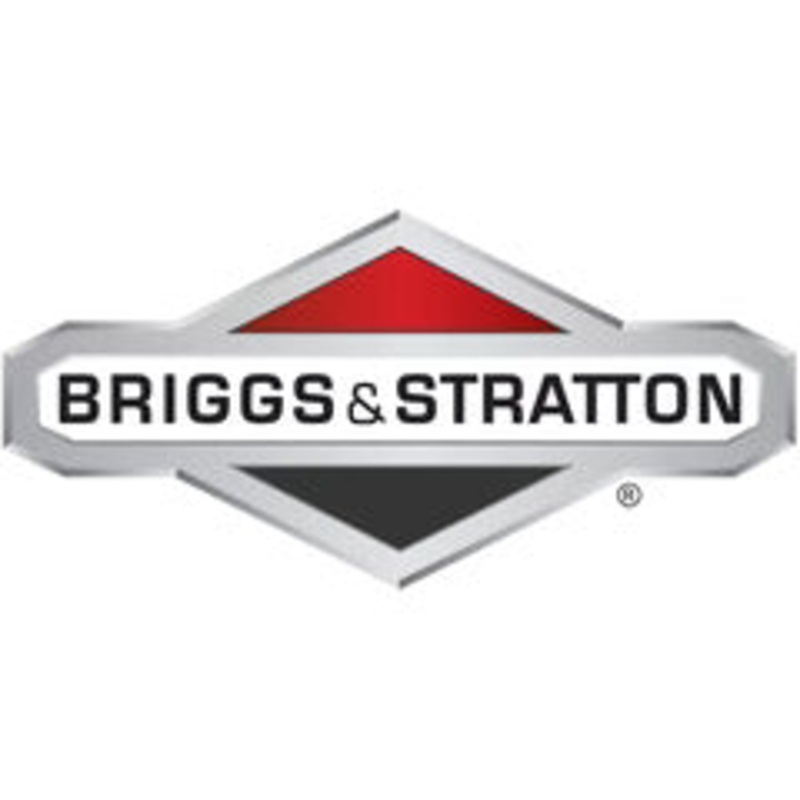 Briggs & Stratton 7100433YP Grass Bag with Door