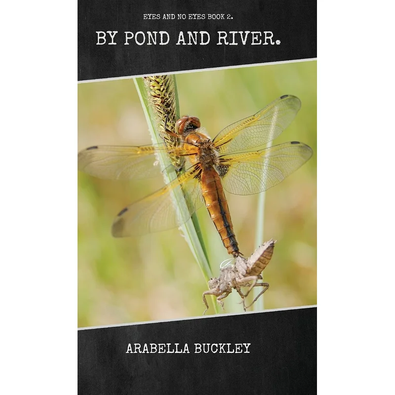 By Pond and River by Arabella Buckley (Book 2 of 6: Eyes and No Eyes)