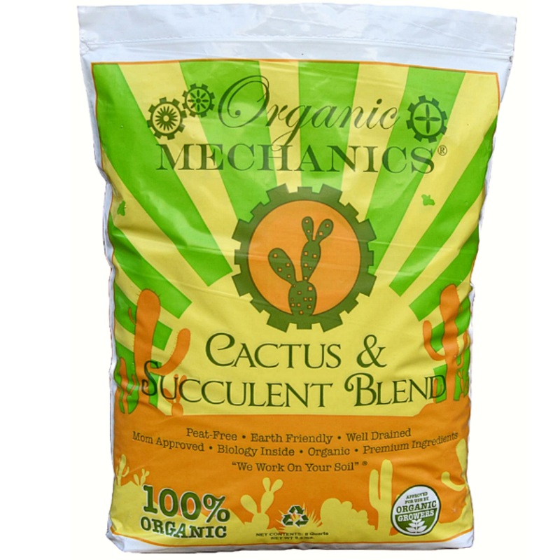 Cactus & Succulent Blend
