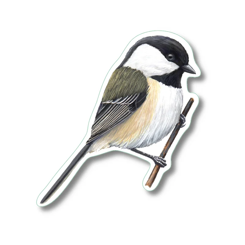 Chickadee Nature Sticker
