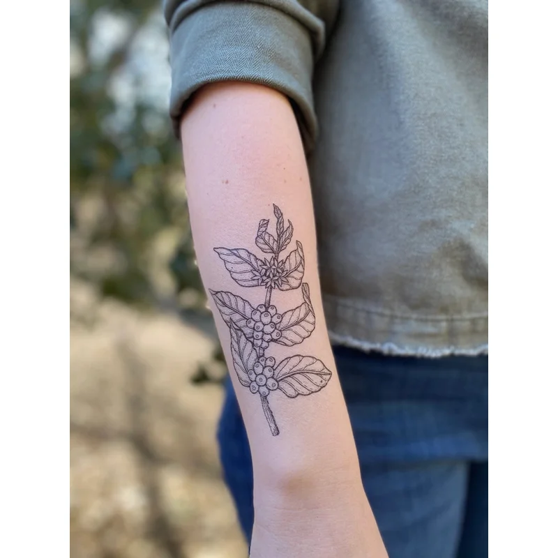 Coffee Plant Temporary Tattoo
