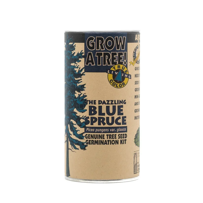 Colorado Blue Spruce Grow a Tree Kit