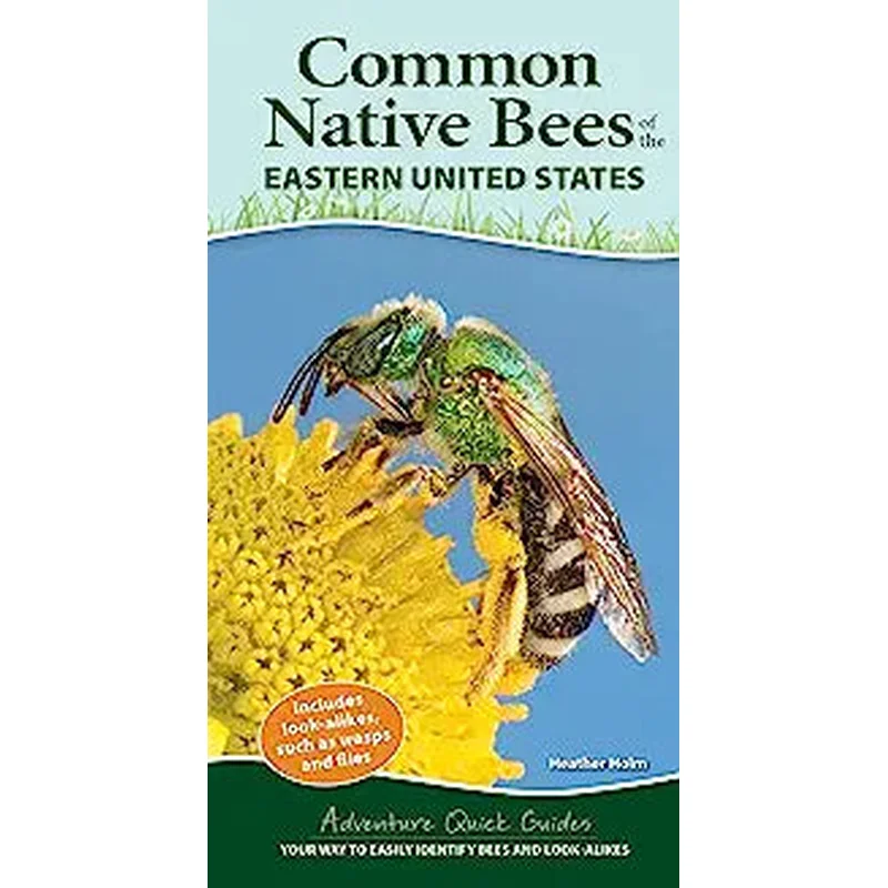 Common Native Bees of the Eastern United States: Your Way to Easily Identify Bees and Look-Alikes (Adventure Quick Guides)