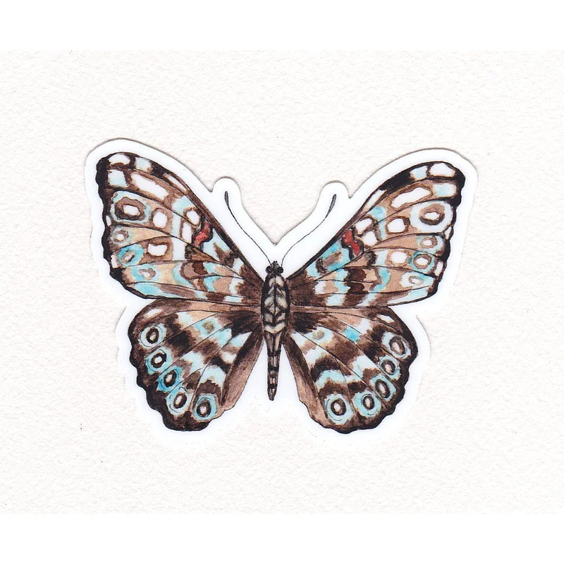 Cracker Butterfly Waterproof Sticker