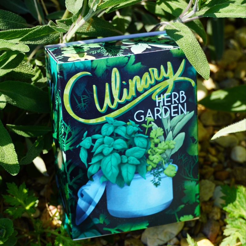 Culinary Herb Garden Seed Collection Box
