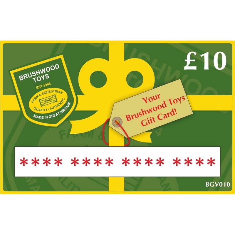 Digital Gift Voucher 10 (available on phone order only)