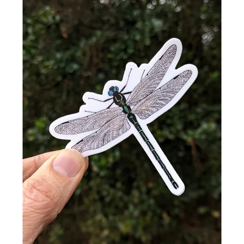 Dragonfly Sticker (Twig & Moth)