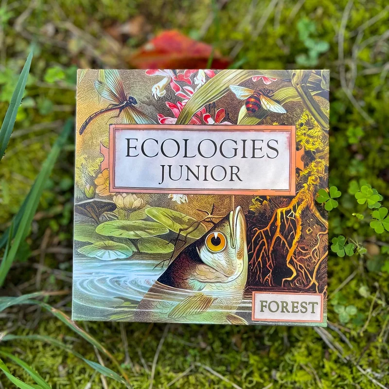 Ecologies Junior: Forest – Memory Game and Food Web Builder for Ages 4+ – Learn Trophic Levels and Forest Life
