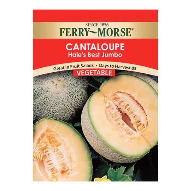 Ferry-Morse Cantaloupe Seeds, Hale’s Best Jumbo