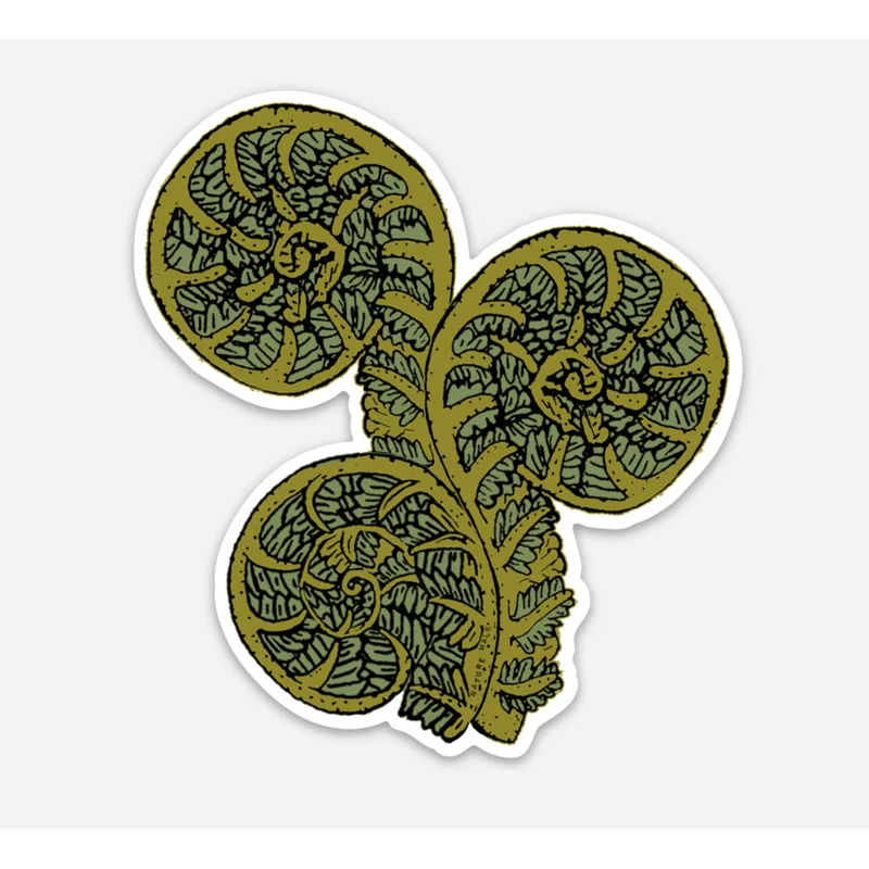 Fiddlehead Fern Waterproof Decal