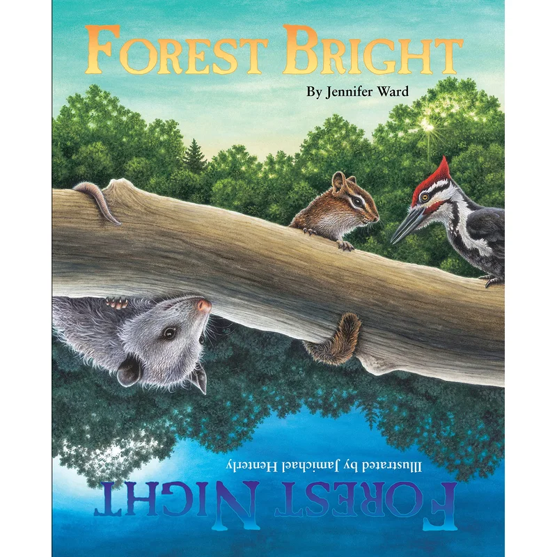 Forest Bright, Forest Night by Jennifer Ward