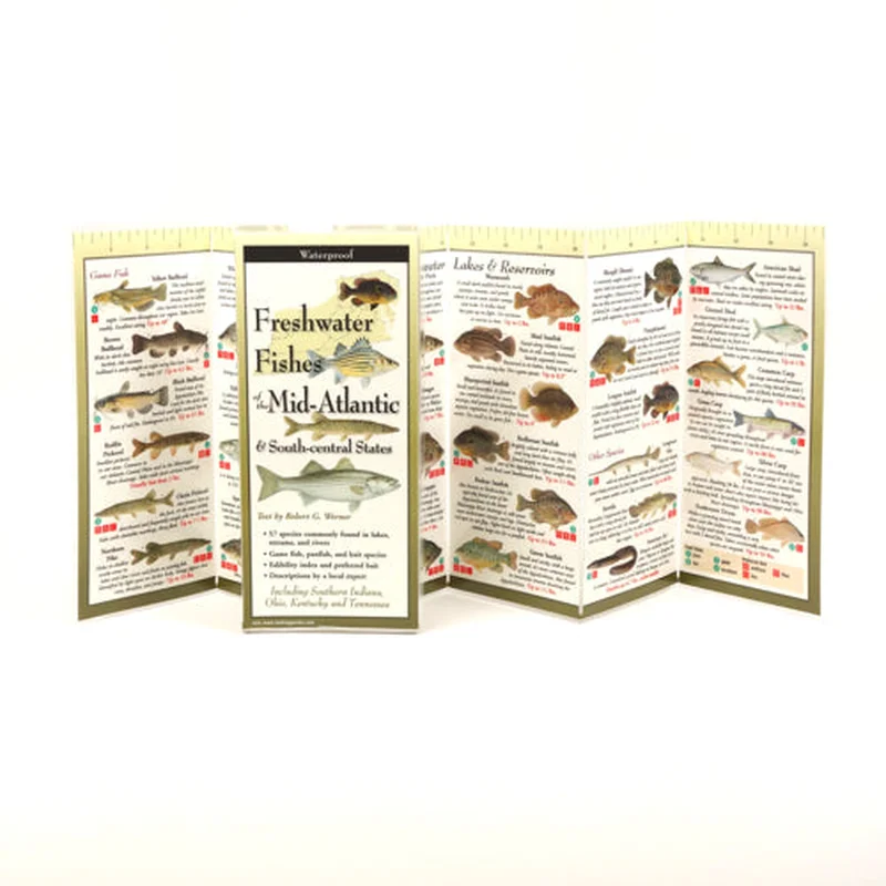 Freshwater Fishes of Mid-Atlantic (Nature FoldingGuide)