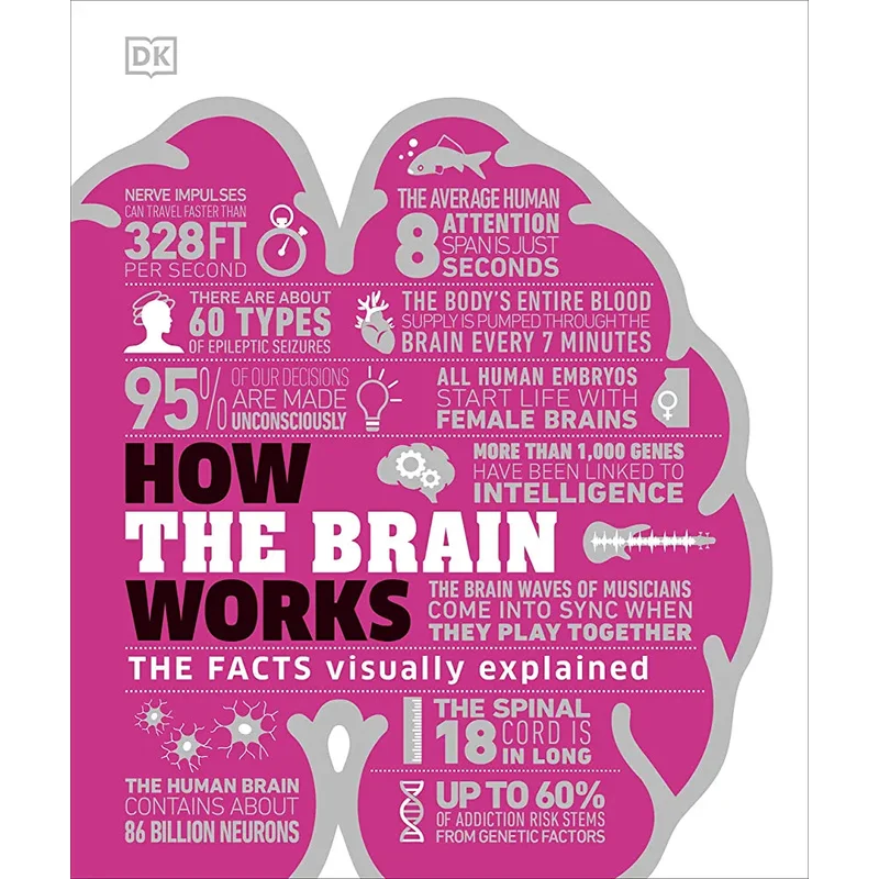 How the Brain Works: The Facts Visually Explained (DK)