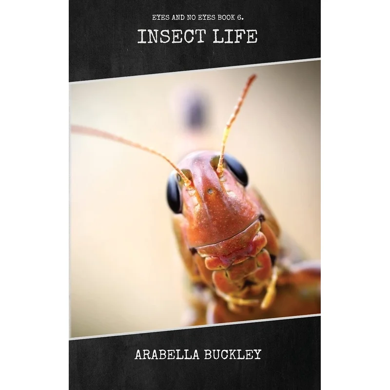 Insect Life by Arabella Buckley (Book 6 of 6: Eyes and No Eyes)