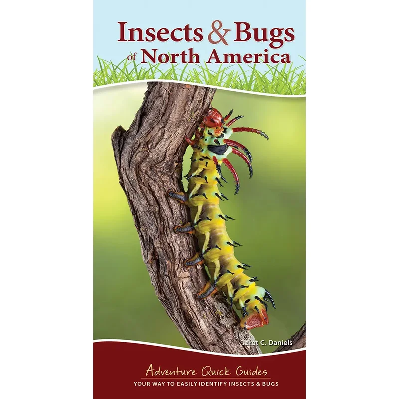 Insects & Bugs of North America: Your Way to Easily Identify Insects & Bugs