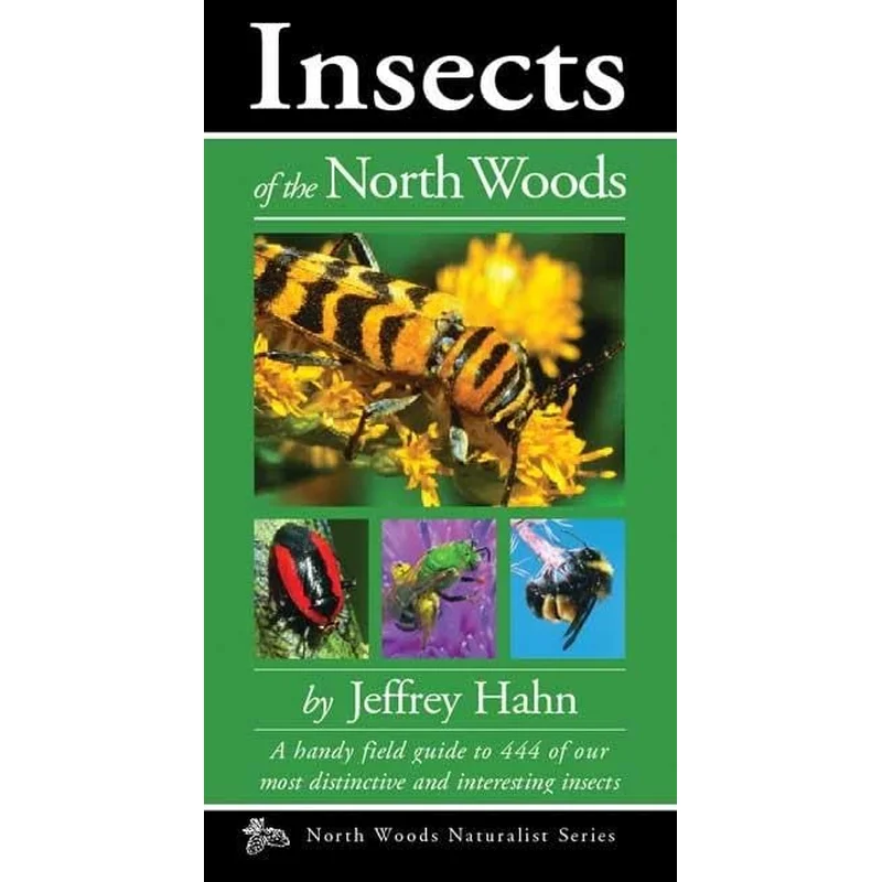 Insects of the North Woods (Naturalist) by Jeffrey Hahn