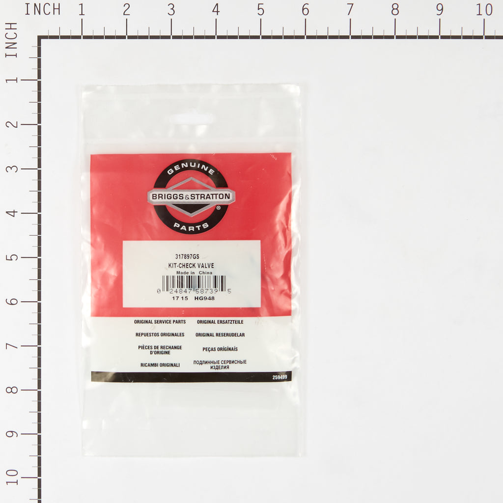 Briggs & Stratton - 317897GS - KIT-CHECK VALVE