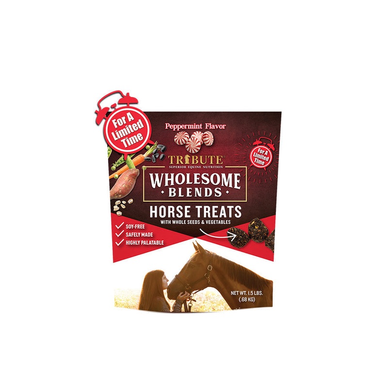 Kalmbach Feeds Peppermint Wholesome Blends Horse Treats