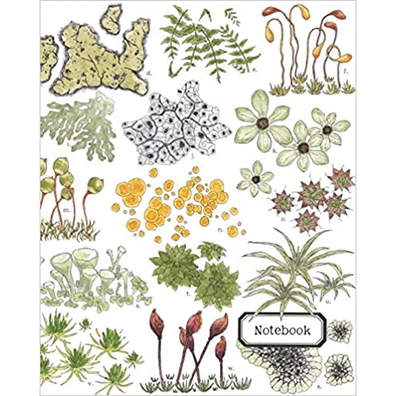 Lichen and Mosses Composition Notebook (Twig & Moth)