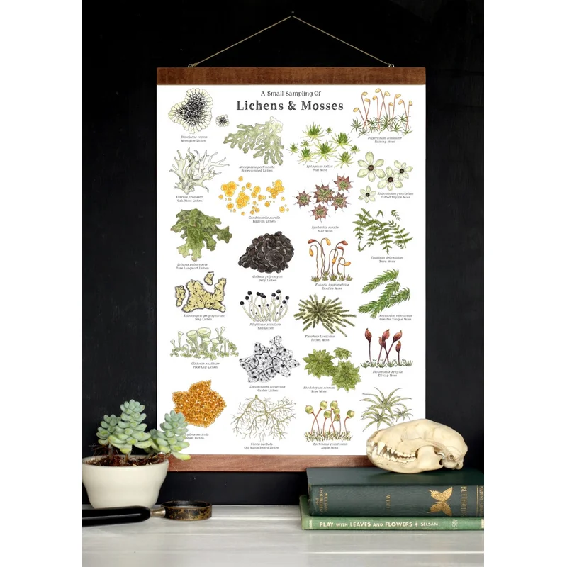 Lichens & Mosses 12 x 18 Poster