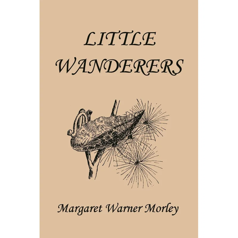 Little Wanderers (Illustrated Edition) by Margaret Warner Morley
