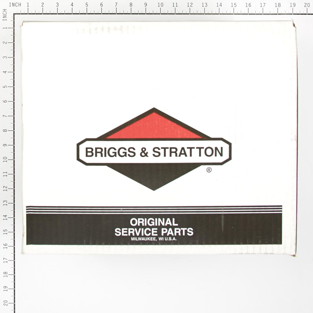 Briggs & Stratton - 314441GS - PUMP