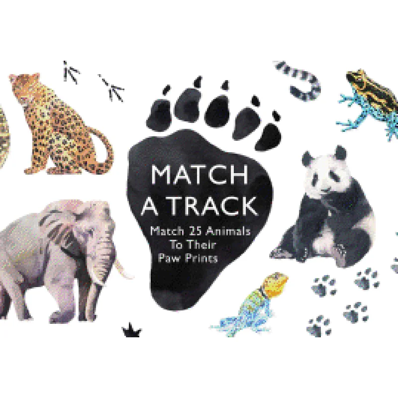 Match a Track: Match 25 Animals to Their Paw Prints