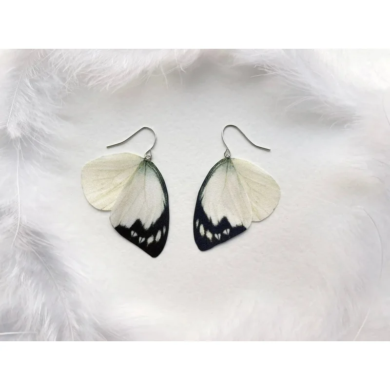 Mega Size Australian Delias Nigrina Butterfly Wings