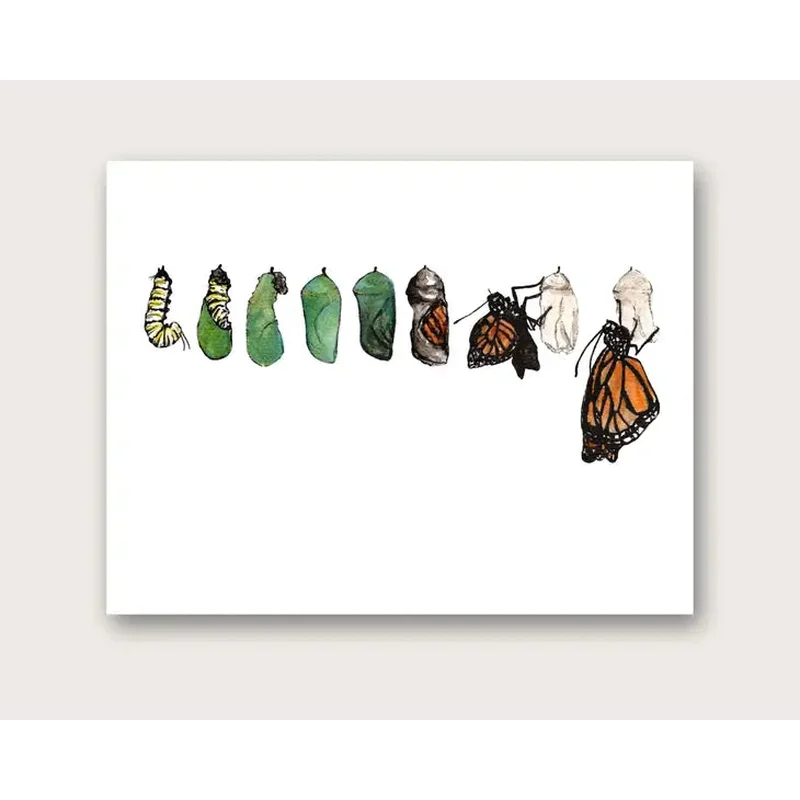 Monarch Metamorphosis Art Print I 5×7