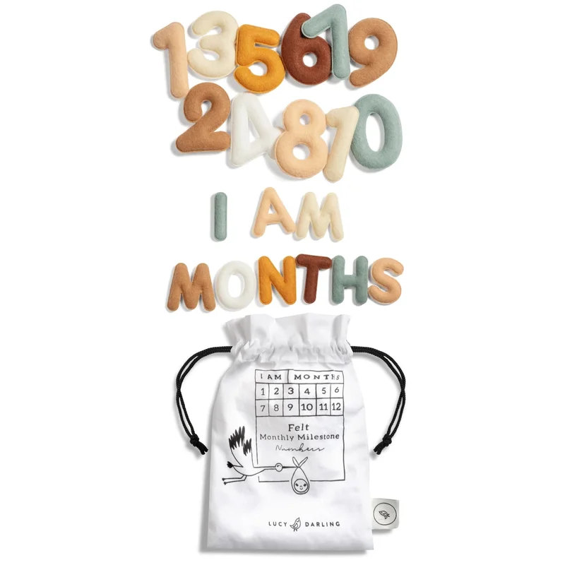 Monthly Milestone Felt Letters – Neutral