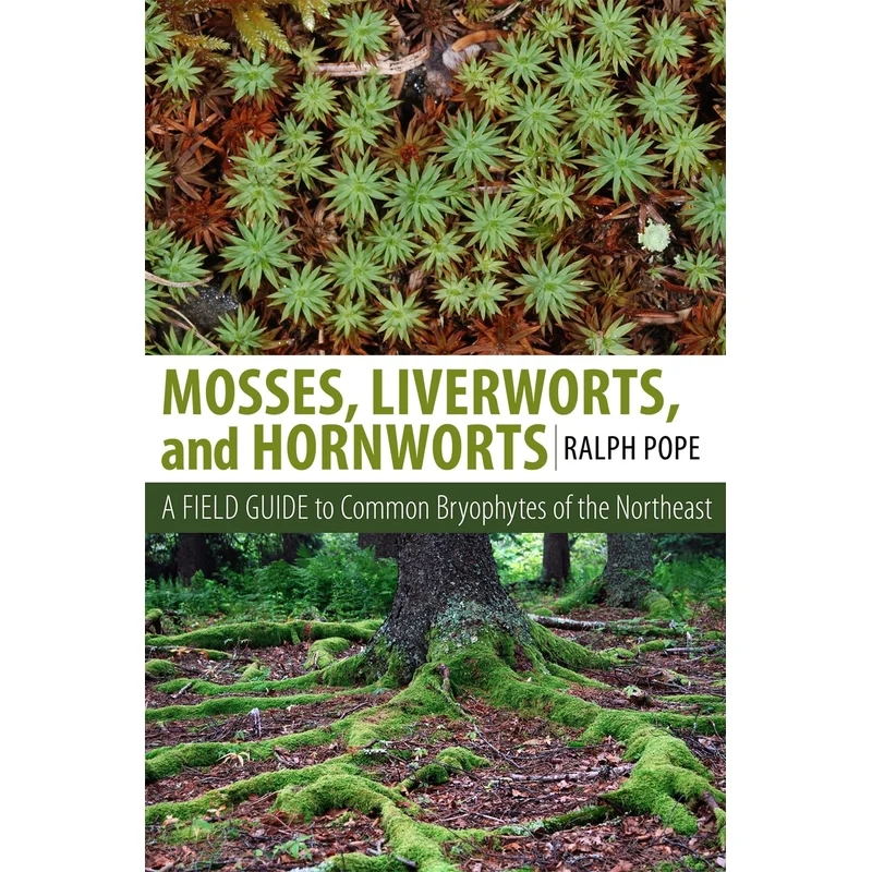 Mosses, Liverworts, and Hornworts: A Field Guide to the Common Bryophytes of the Northeast