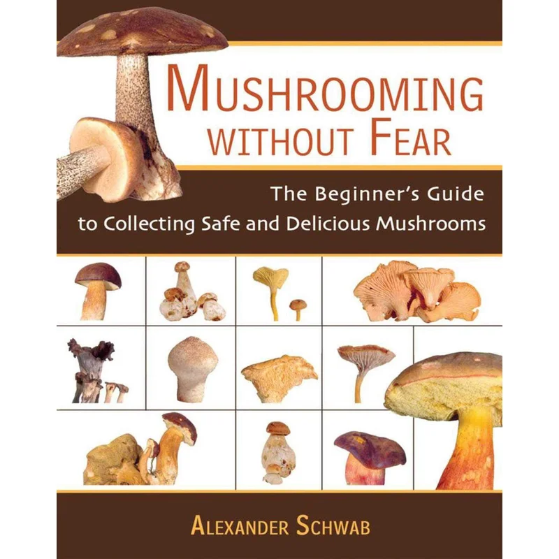 Mushrooming Without Fear: The Beginner’s Guide to Collecting Safe and Delicious Mushrooms