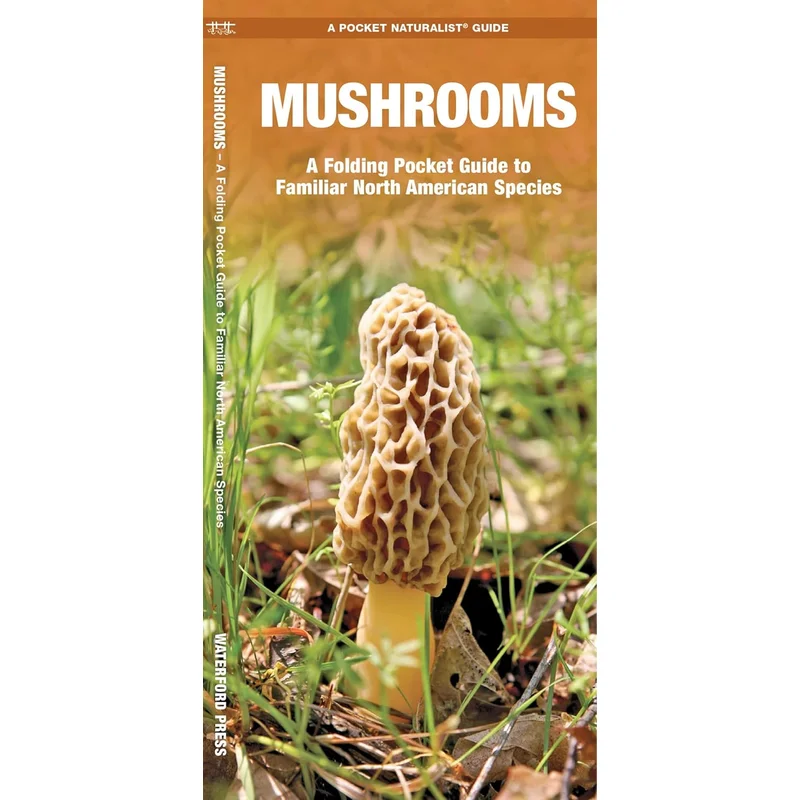 Mushrooms: A Folding Pocket Guide to Familiar North American Species