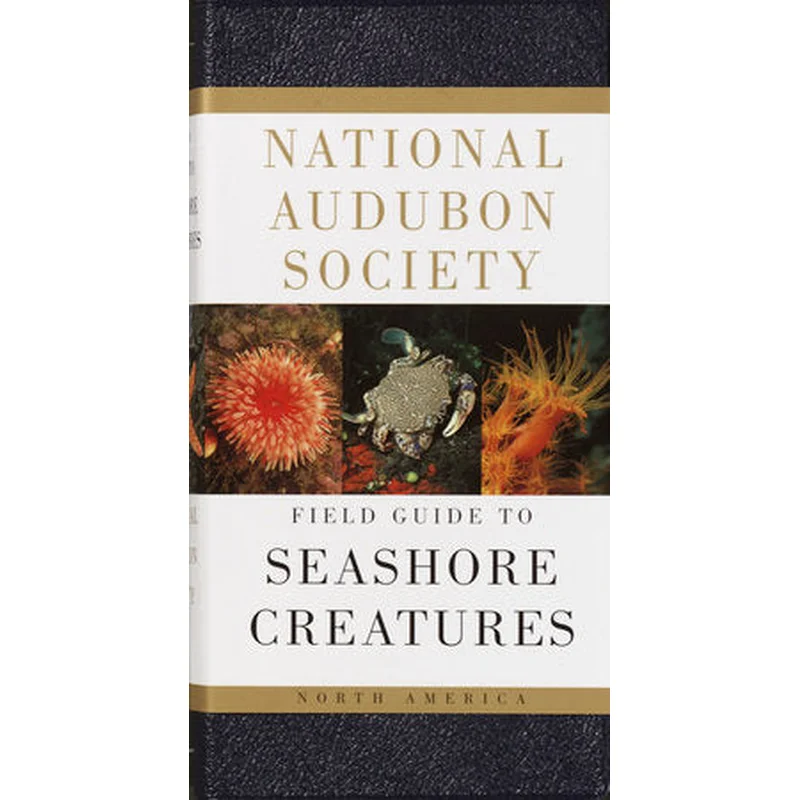 National Audubon Society Field Guide to Seashore Creatures North America