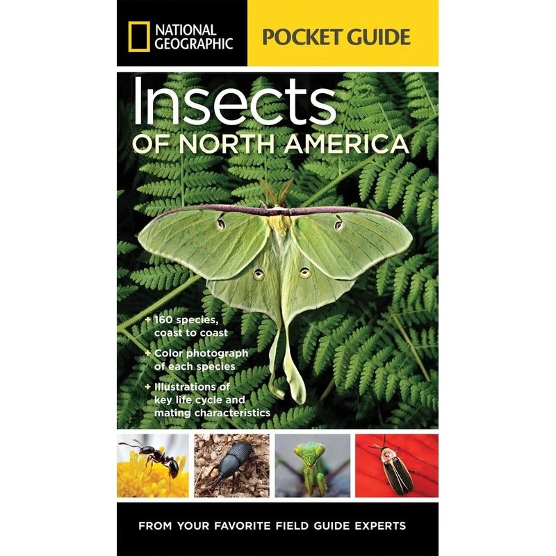 National Geographic Pocket Guide to Insects of North America