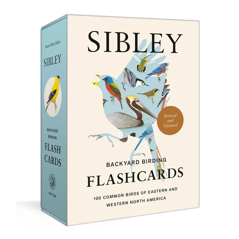 NEW! Sibley Backyard Birding Flashcards, Revised and Updated: 100 Common Birds of Eastern and Western North America