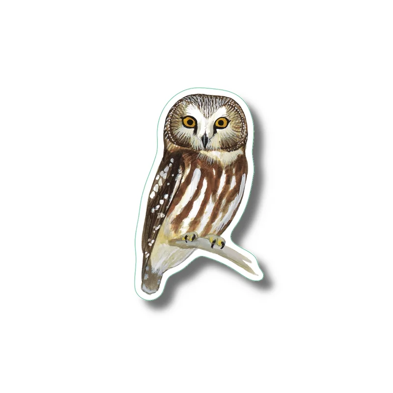 Northern Saw-Whet Owl Nature Sticker