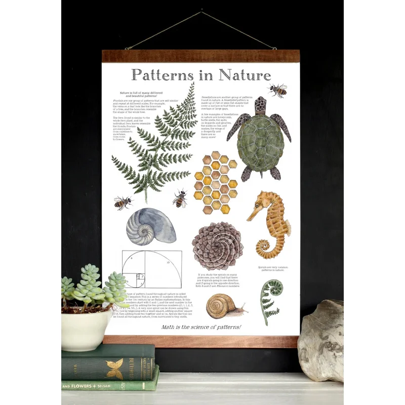 Patterns in Nature Math School Room Poster – 12 x 18