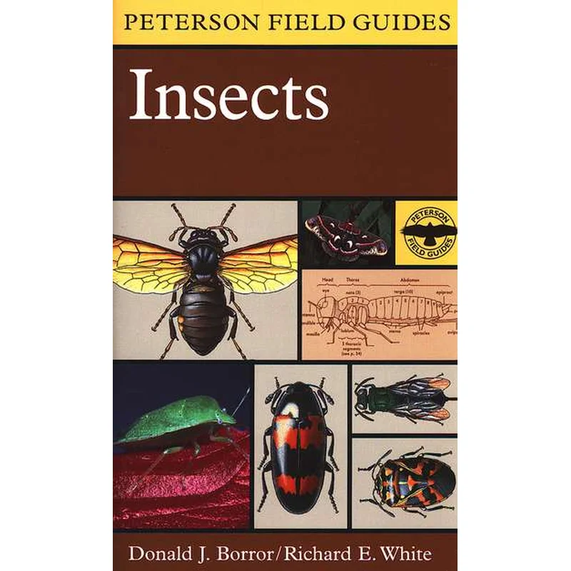 Peterson Field Guide to Insects